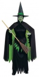 Wizard of OZ - Wicked Witch Fancy Dress Costume