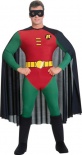 Robin Fancy Dress Costume