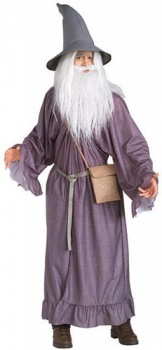 Lord of the Rings - Gandalf  Fancy Dress Costume