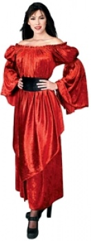 Pirates of the Seven Seas - Pirate Princess Costume