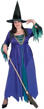 Purple Witch Halloween Fancy Dress Costume (XL)