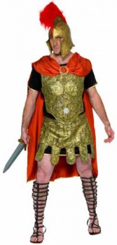 Gladiator Fancy Dress Costume