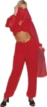 Harem Girl / Belly Dancer Costume - Red
