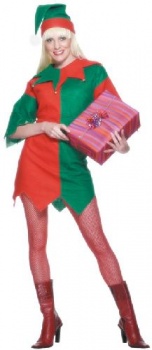 Ladies Elf Fancy Dress Costume