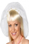 Brides Veil for Hen Nights