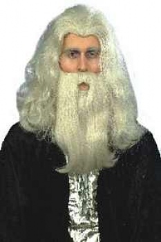 Merlin Wig and Beard Set Gray