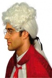 Gents Court Wig (White)