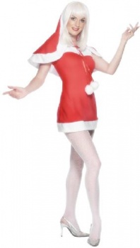 Miss Hot Santa Costume