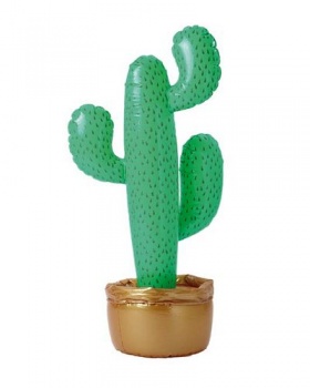 Inflatable Cactus