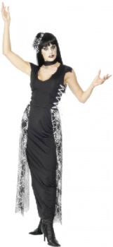 Web Mistress Costume