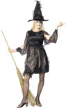 Fiery Witch Fancy Dress Costume