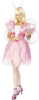 Butterfly Fairy Costume 