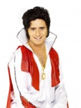 Elvis Wig - Black