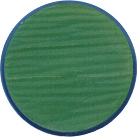Snazaroo Face Paint - Grass Green - 75ml