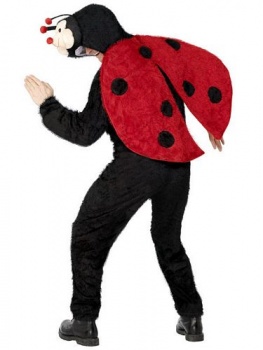 Adult - Lady Bug Fancy Dress Costume