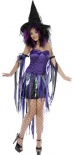 Naughty Witch Fancy Dress Costume