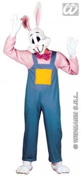 Country Rabbit Fancy Dress Costume