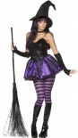 Fever - Rebel Toons - Wicked Witch Costume