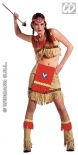 Ray of Moonlight (Indian Lady) Fancy Dress Costume