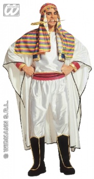 Lawrence of Arabia Fancy Dress Costume