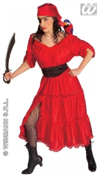 Caribbean Pirate Lady Fancy Dress Costume