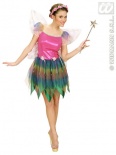 Rainbow Fairy 