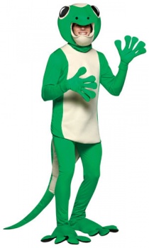 Gecko Fancy Dress Costume