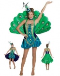Peacock Fancy Dress Costume
