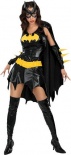 Secret Wishes - Sexy Batgirl - Fancy Dress Costume