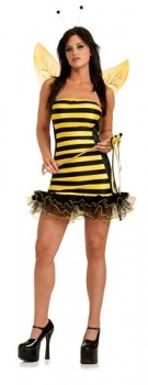 Secret Wishes - Busy Bee Costume