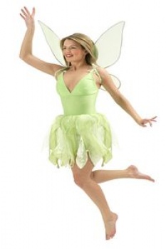 Disney Tinker Bell Costume