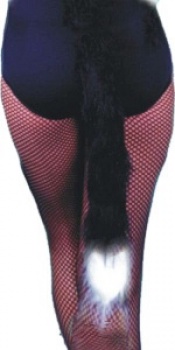 Cat Tail