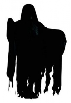 Harry Potter - Dementor Costume