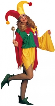 Kings Jester Fancy Dress Costume