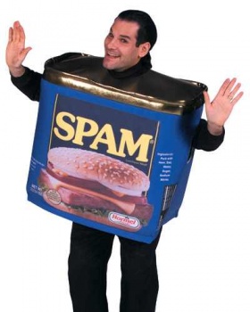 Tin of Spam Fancy Dress Costume