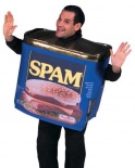 Tin of Spam Fancy Dress Costume